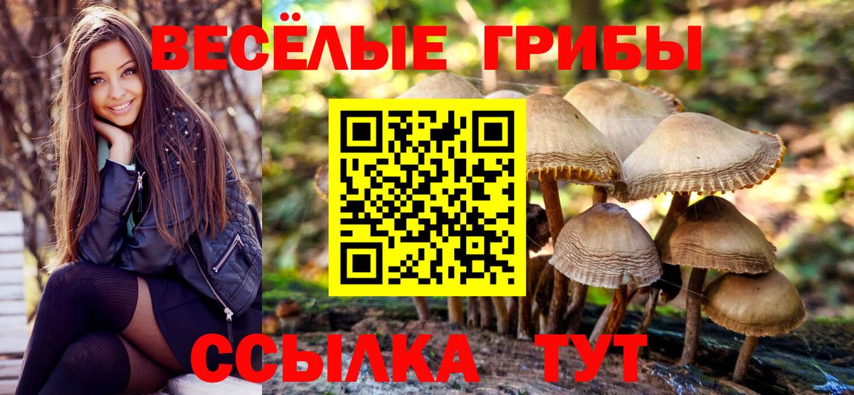Галлюциногенные грибы мухоморы  Псилоцибиновые грибы мицелий  Вход с VPN  Киселёвск 